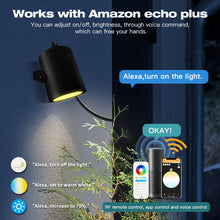 Load image into Gallery viewer, Outdoor Garden Lamp 7w LED Light Zigbee 3.0 & RF Dual Tuneable White and Colour
