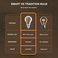Load image into Gallery viewer, E27 7w LED Filament Bulb Warm and Cool White Amber Glass A60