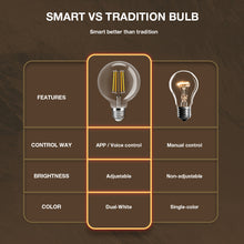 Load image into Gallery viewer, E27 7w LED Filament Bulb Warm and Cool White Amber Glass G95
