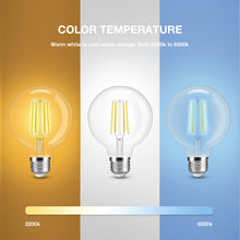 Load image into Gallery viewer, E27 7w LED Filament Bulb Warm and Cool White Amber Glass G95