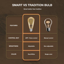 Load image into Gallery viewer, E27 7w LED Filament Bulb Warm and Cool White Amber Glass ST64
