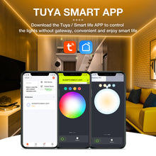 Load image into Gallery viewer, Tuya WiFi Single Color LED Dimmer Controller