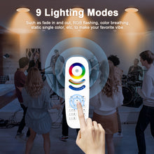 Load image into Gallery viewer, 8 Zone Smart Light Remote Control