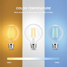 Load image into Gallery viewer, E27 7w LED Filament Bulb Warm and Cool White Clear Glass G95