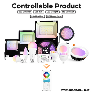 Smart Light Remote Control (Clearance)